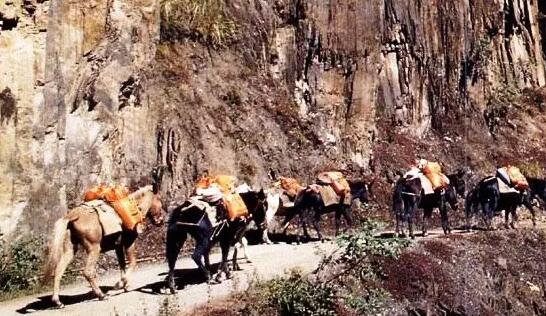 茶马古道:普洱茶文化之魂(图1) 茶马古道:普洱茶文化之魂(图1)